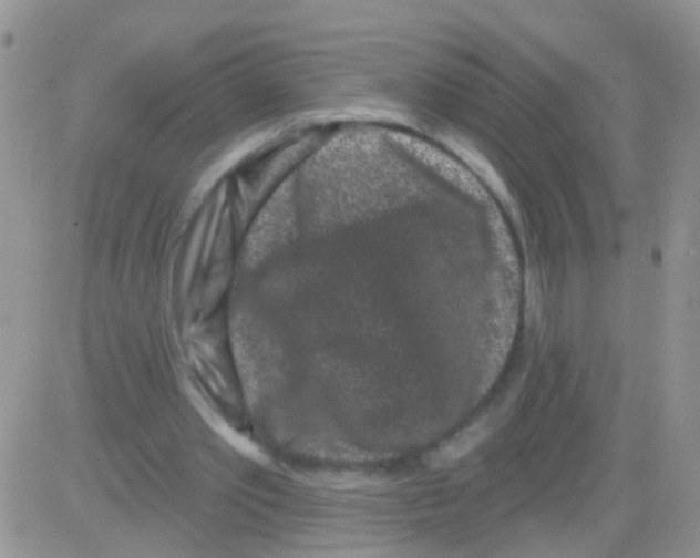 X0000082710389200702232301