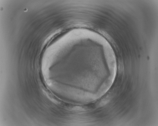 X0000082710390200702232301