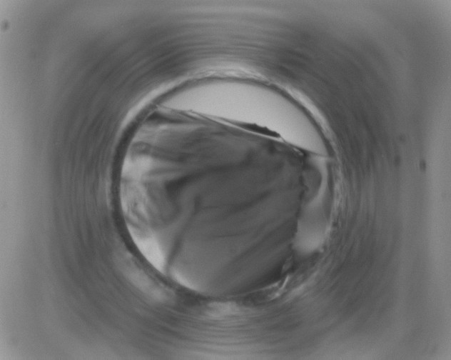 X0000082710391200702232301