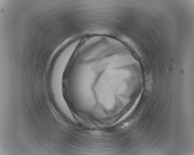 X0000082710395200702232301