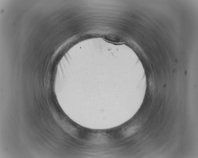 X0000082710396200702232301