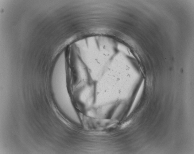 X0000082710397200702232301