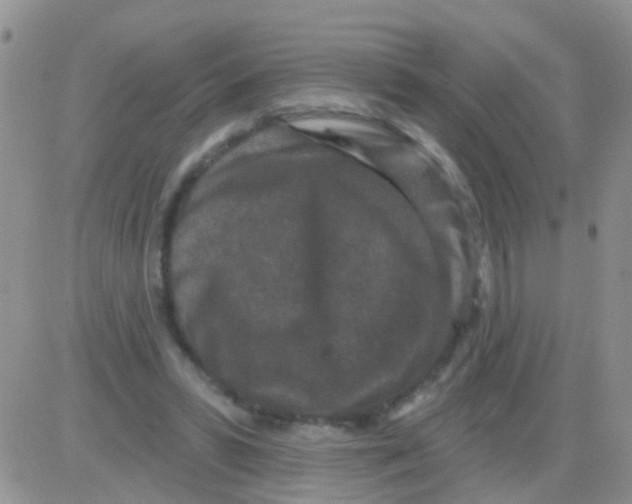 X0000082710399200702232301