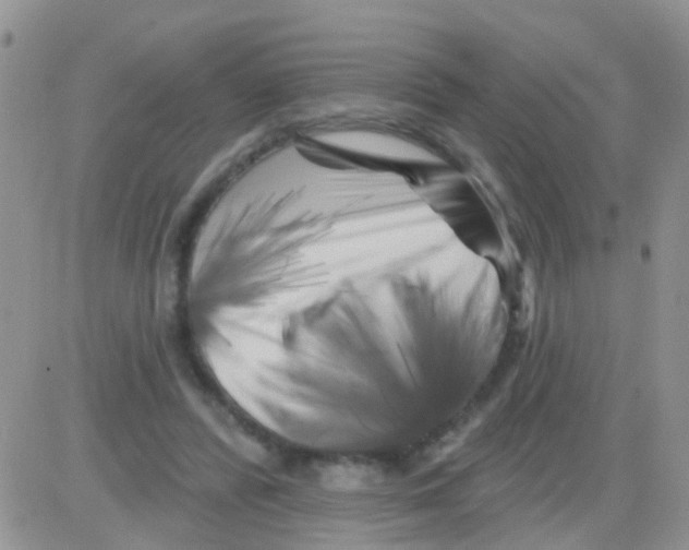 X0000082710400200702232301