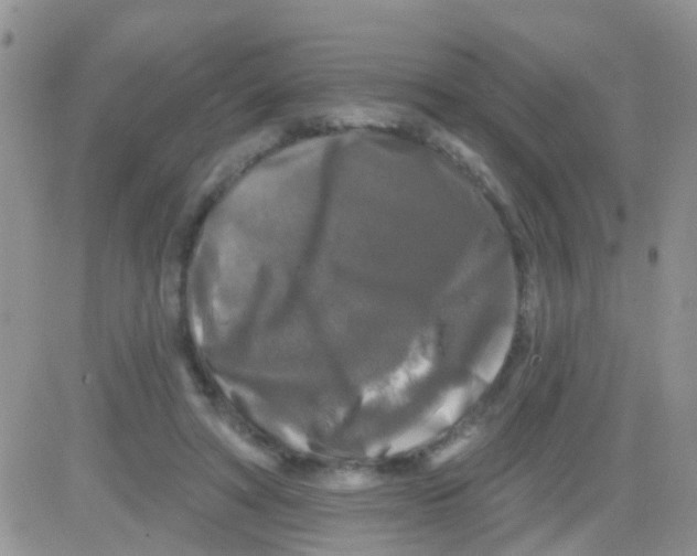 X0000082710402200702232301