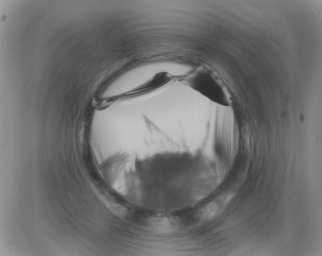 X0000082710404200702232301