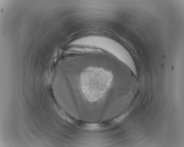 X0000082710409200702232301