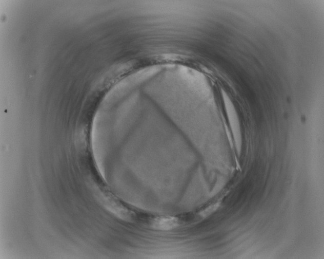 X0000082710410200702232301