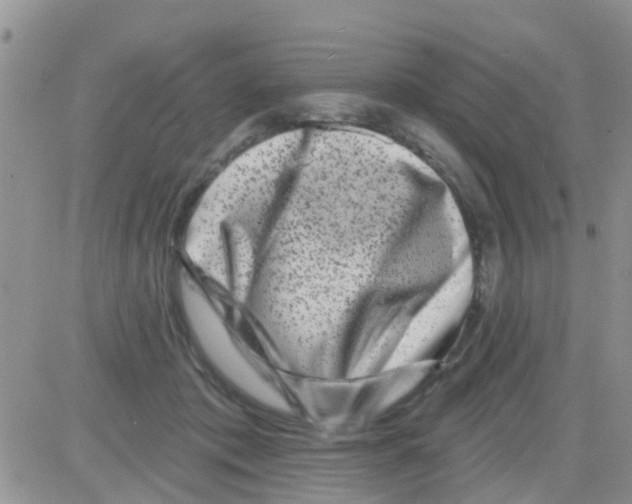 X0000082710413200702232301