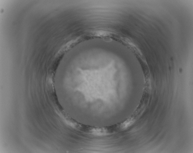 X0000082710415200702232301