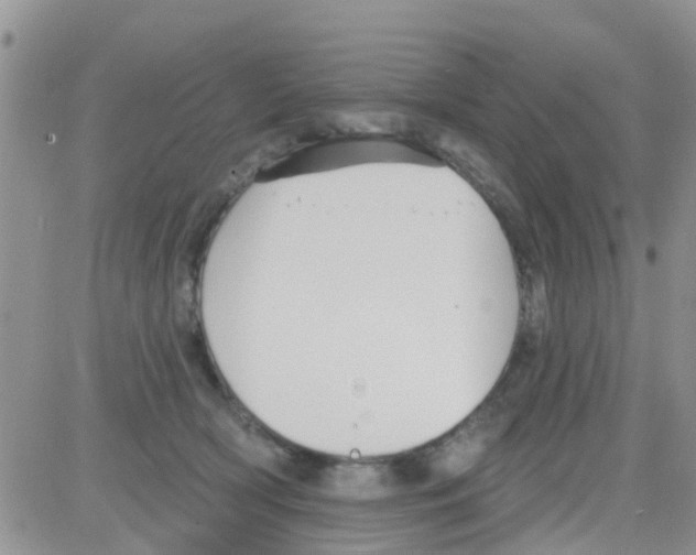 X0000082710418200702232301