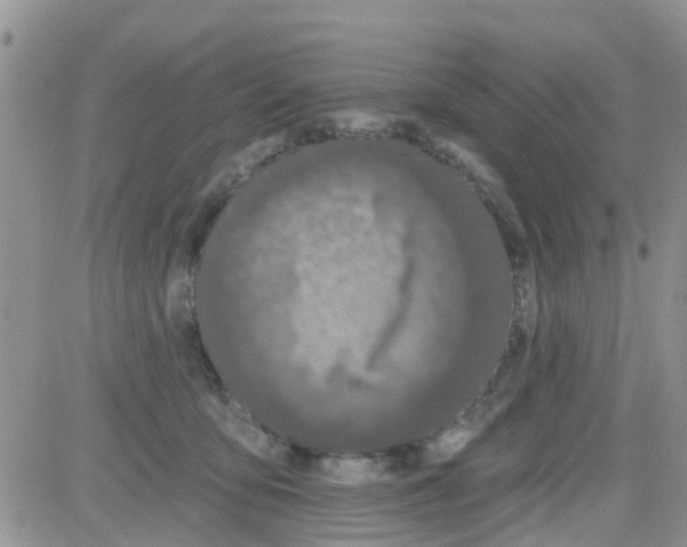 X0000082710419200702232301