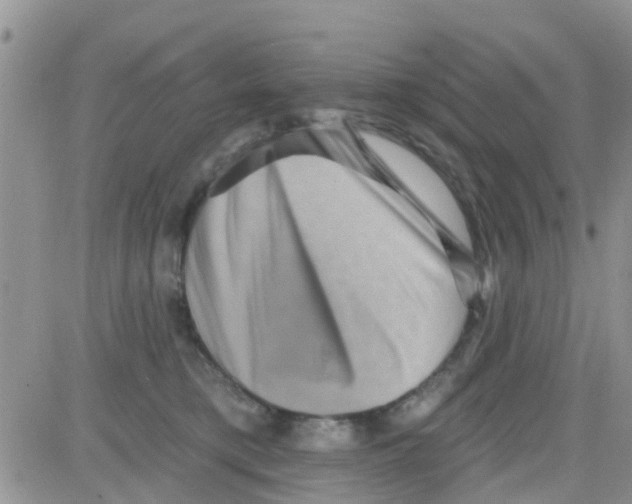 X0000082710421200702232301