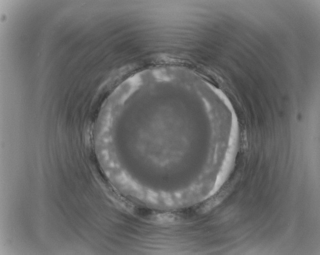 X0000082710423200702232301