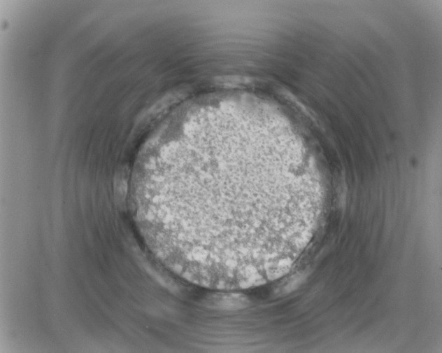 X0000082710427200702232301