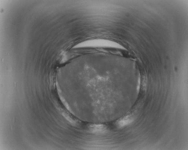 X0000082710428200702232301