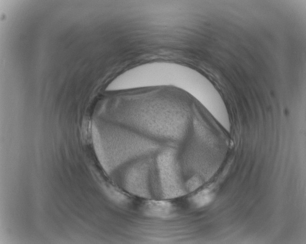 X0000082710429200702232301