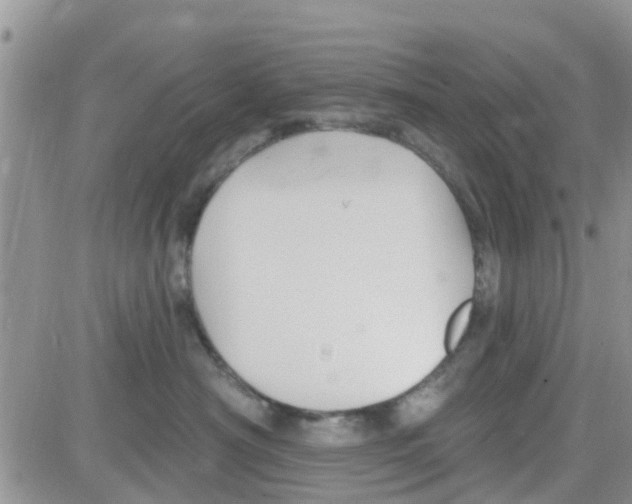 X0000082710430200702232301