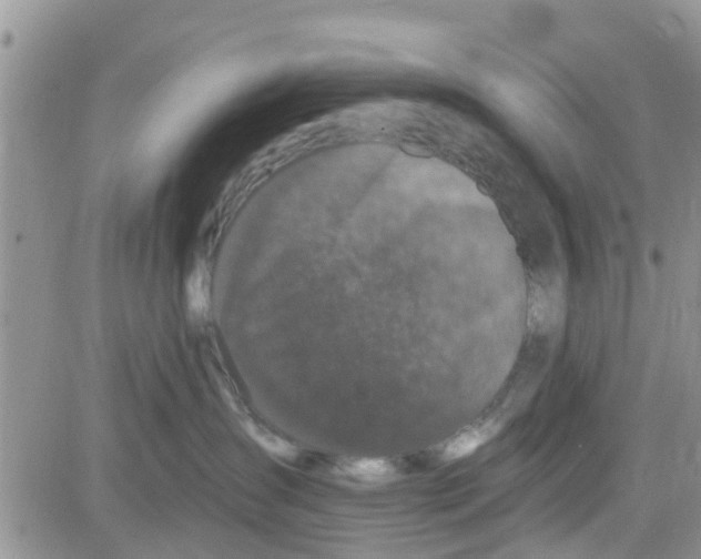 X0000082710431200702232301