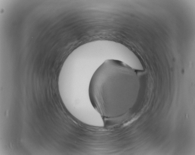 X0000082710432200702232301