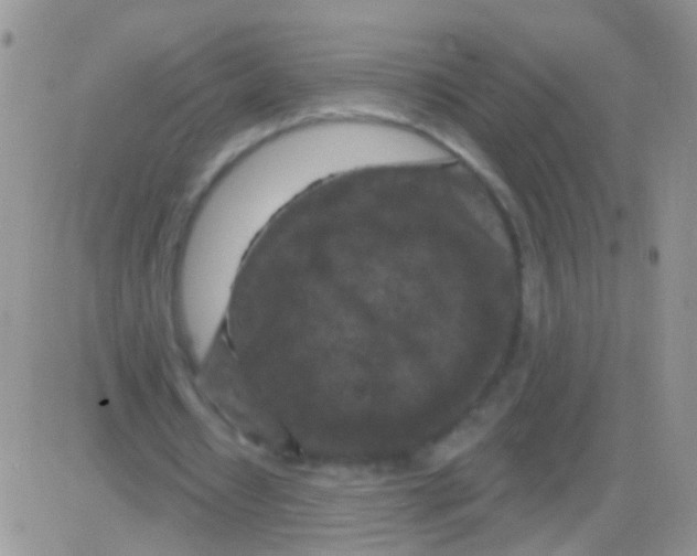 X0000082710434200702232300