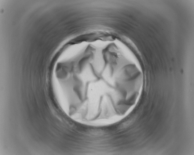 X0000082710435200702232300