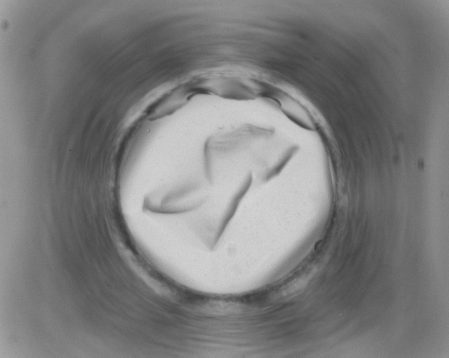 X0000082710437200702232300