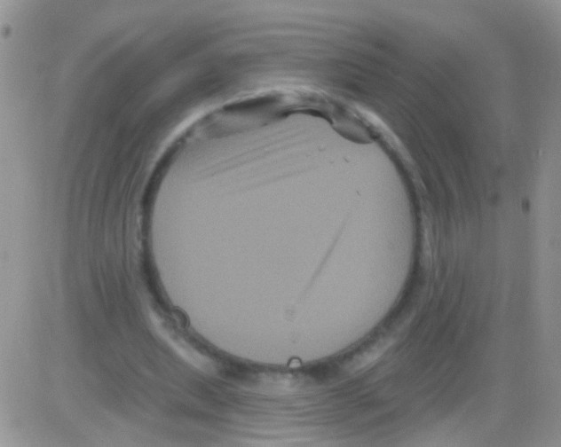 X0000082710439200702232300