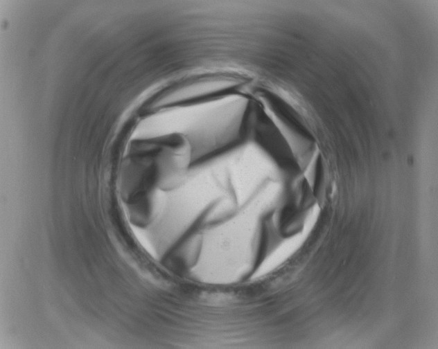 X0000082710440200702232300