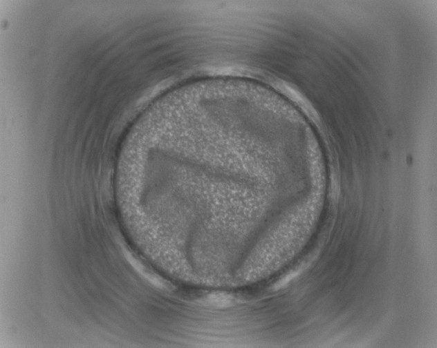 X0000082710441200702232300