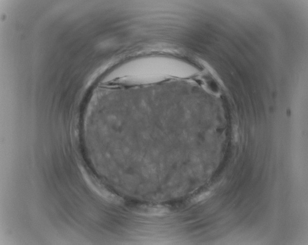 X0000082710443200702232300