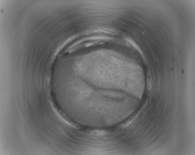 X0000082710444200702232300