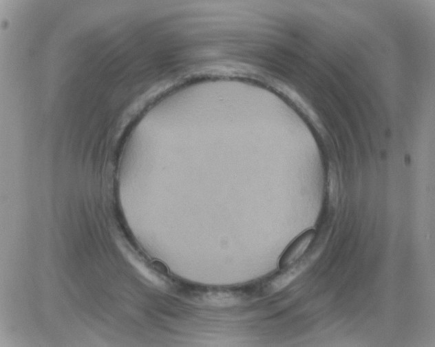 X0000082710445200702232300