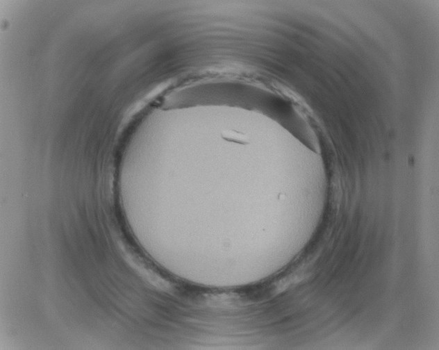 X0000082710446200702232300