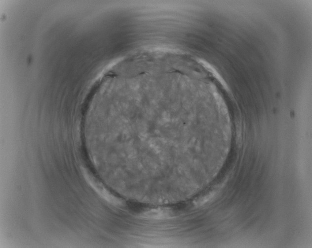 X0000082710447200702232300