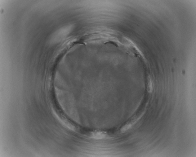 X0000082710451200702232300