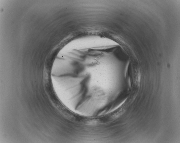 X0000082710456200702232300