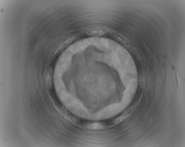 X0000082710460200702232300