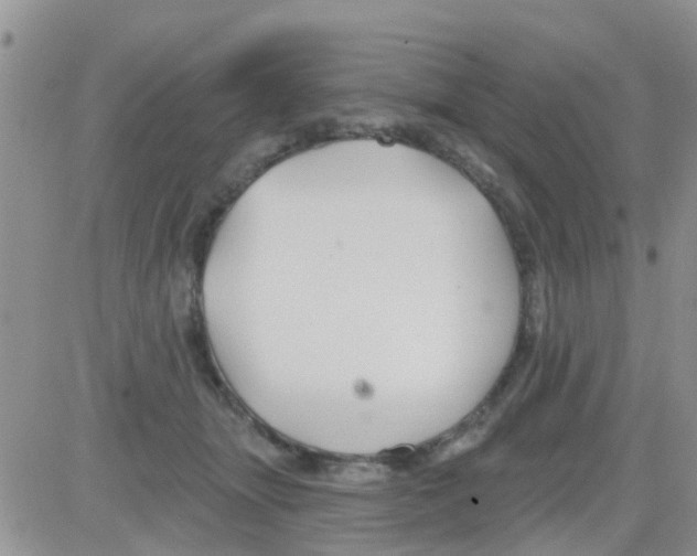 X0000082710463200702232300