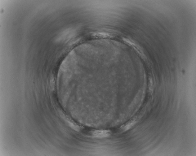 X0000082710465200702232300