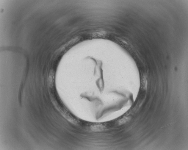 X0000082710468200702232300