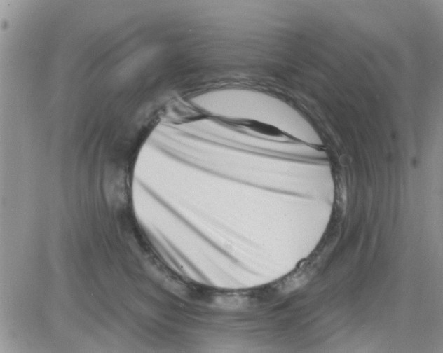 X0000082710470200702232300