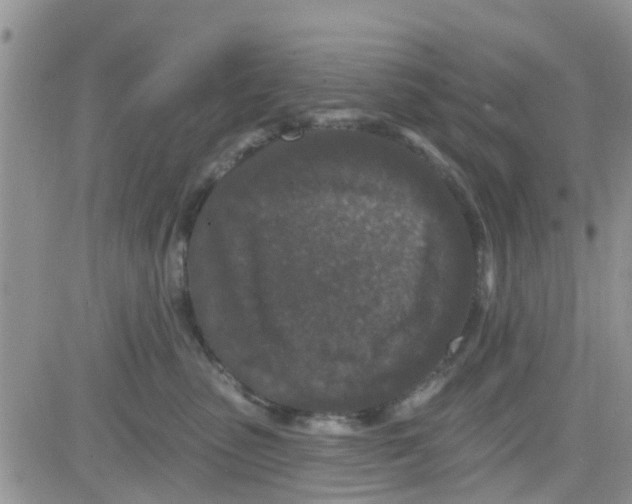 X0000082710475200702232300