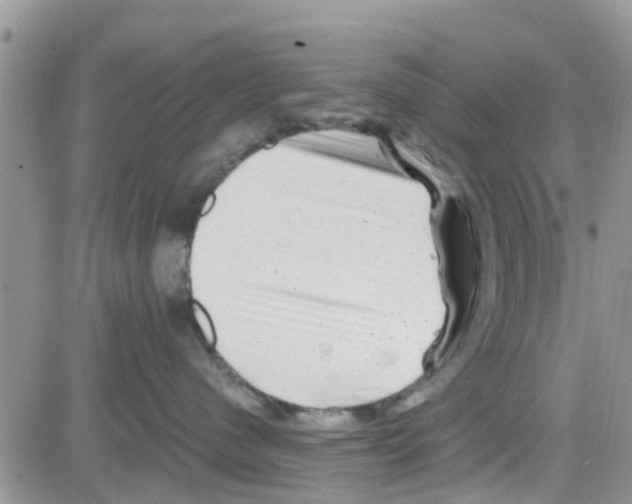 X0000082710480200702232301