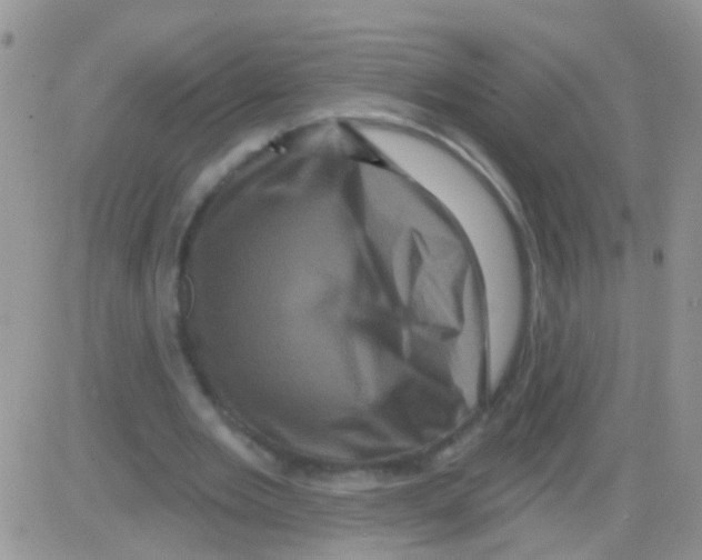 X0000082710485200702232300