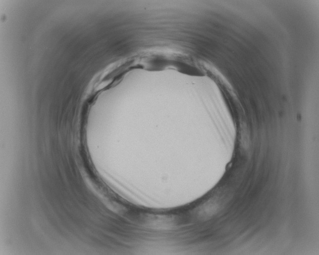 X0000082710486200702232300