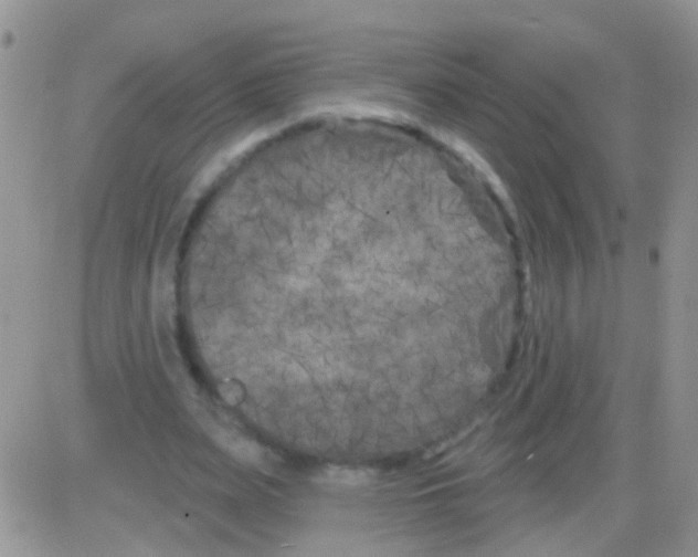 X0000082710487200702232300