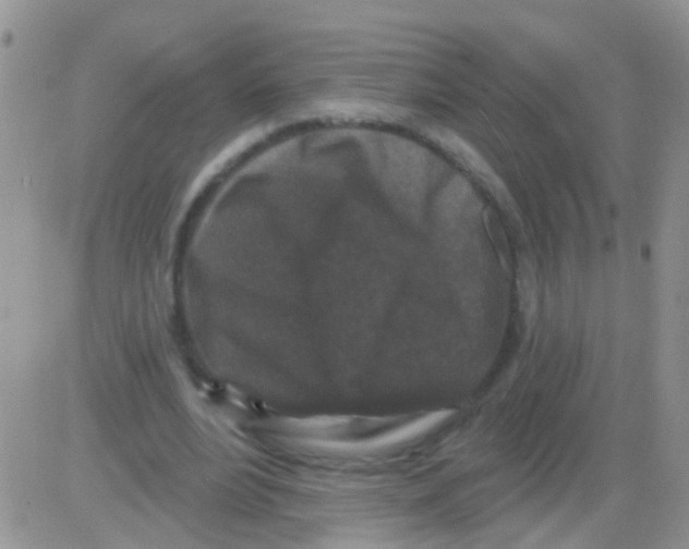 X0000082710488200702232300