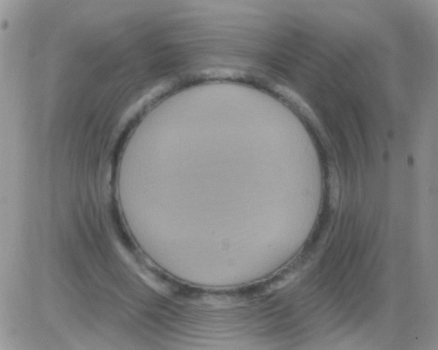 X0000082710490200702232300