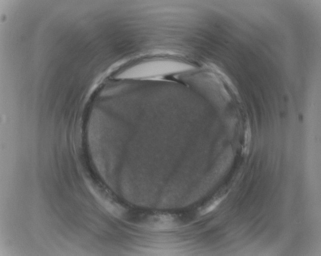 X0000082710492200702232300